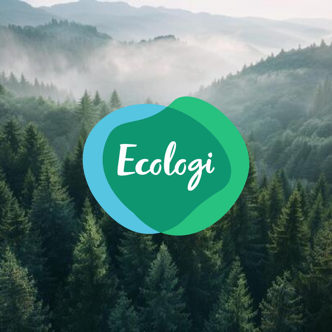 Sustainable brand practices